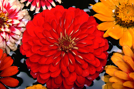 c70d04ffa50e9bcbd3bf7ed5c6a4db8a.jpg